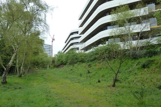 Gunnersbury Triangle