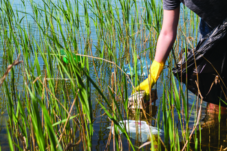 Volunteer removing rubbish from pond