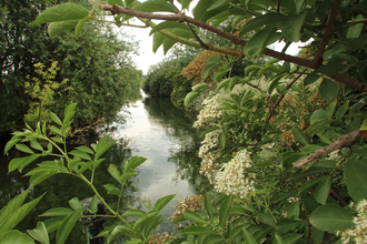 Walthamstow Wetlands Coppermill stream view