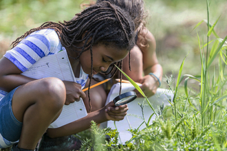 Nature detective