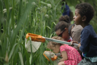 children pond dipping