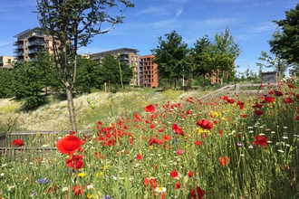 meadow at Kidbrooke Village