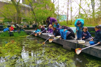 Schoolchildren Pond dipping at Camley Street Natural Park