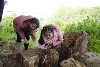 School trip at Walthamstow Wetlands