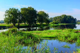 River scene