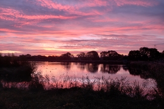 Sunrise at Woodberry Wetlands