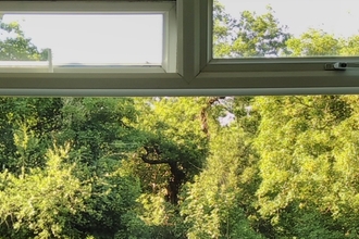 Image of a window with the view of trees through it