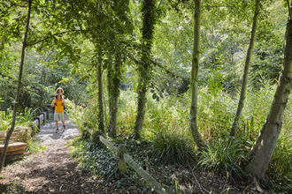 A man carrying a little girl on his shoulders and walking along the path at Camley Street Natural Park. The path is surrounded by leafy trees.