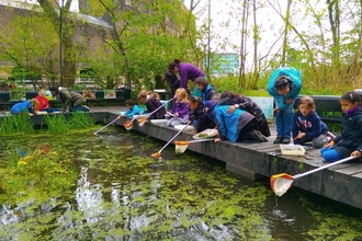 A group of children pond dipping with long nets.