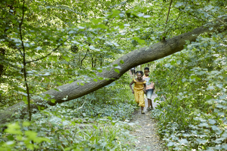 Children running under tree branch at Sydenham Hill Wood
