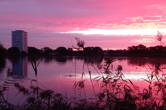 A sunrise over Woodberry Wetlands