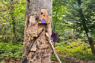 A painted fairy door on the side of a tree