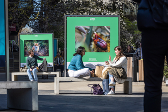 Two people sat beneath a poster with a large print of coot chicks