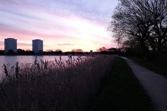 A sunrise over Woodberry Wetlands