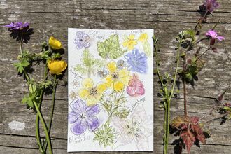 A wildflower print on watercolour paper