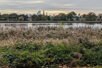 A view across a reservoir with a sunset and buildings in the background