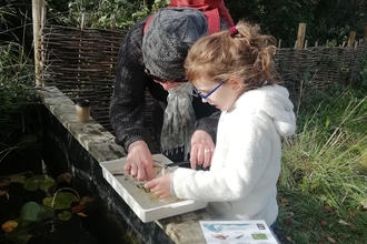 Child and adult pond dipping together