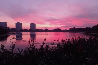 A purple and pink sky over waters, three tower block buildings are in the background and a line of vegetation lines the foregroun