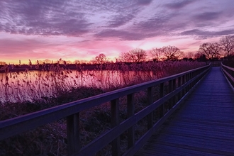 A sunrise over Woodberry Wetlands