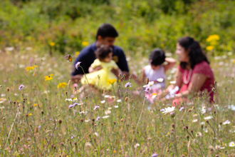 A family of two adults and two children enjoying a picnic in a wildflower meadow