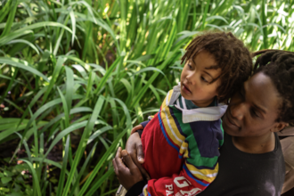 A person and a child looking into the reeds at Camley Street Natural Park