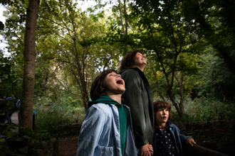 Two children and a person stand looking up at a tree canopy
