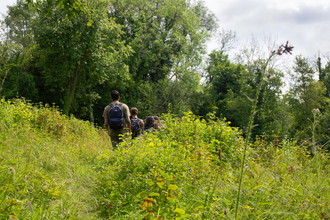 People walking along a path surrounded by lush summer vegetation