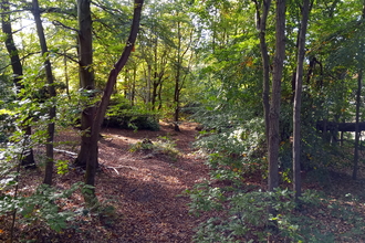View of The Warren