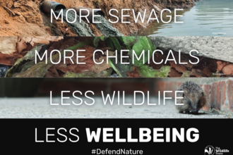 Text over images reads: MORE SEWAGE MORE CHEMICALS LESS WILDLIFE LESS WELLBEING #DefendNature
