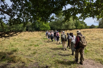 A group of people walking across a field with tree canopy in the foreground