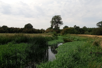Frays Farm Meadows