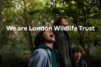 Family looking up at the trees with title 'We are London Wildlife Trust' written on top