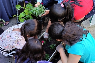 Group of people working on a planting project