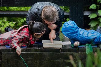 an adult and 2 children looking into a tray on a pond dipping platform