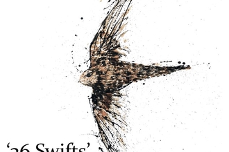 A drawing of a swift, text reads 36 Swifts, showing London Wildlife Trust logo