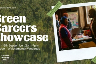 Banner with the title Green Careers Showcase, date 18th September 2-7pm. Location - Walthamstow Wetlands. There is a picture of a stall from last year speaking to a visitor. The background is trees.