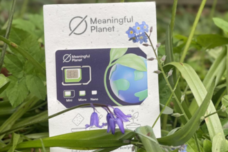 a sim card amongst bluebells