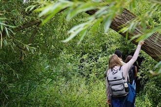 People walking through a woodland touching a willow tree