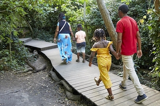 People walking along a boardwalk in a woodland 