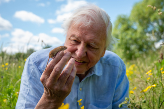David Attenborough and a harvest mouse from BBC One and iPlayer's Wild London