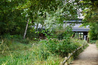 A visitor centre in the background is shrouded by grasses and overhanging branches. A gravel path leads towards the building on the bottom-right of the frame.