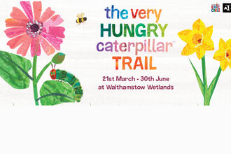 TVHC Banner - do not use other than for event