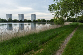 3 blocks of flats overlook a reservoir, its right-hand bank fringed by reeds that lead up to a grassy bank. A Tree hangs over from the top right