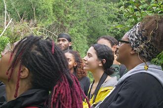 A group admiring and spotting nature