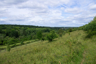A footpath leads through a green meadow which slopes down to the left. There are trees dotted amongst the meadow, and in the background is a more densely wooded area. There is a blue sky peeking out through white clouds.