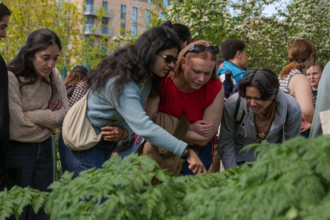 An image of young people looking at ferns, pointing down to something. There are trees and buildings in the background. There are trees and building behind them 