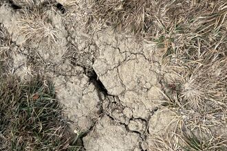 Dry and cracked soil following a heatwave. Tufts of brown grass are also visible