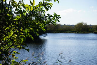 Wetlands