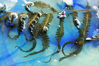 Fern submerged in liquid on a paper with blue solution.