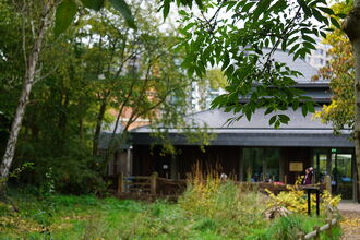 Camley Street's visitor centre is out of focus in the background, framed by autumnal foliage with shades of green and yellow.